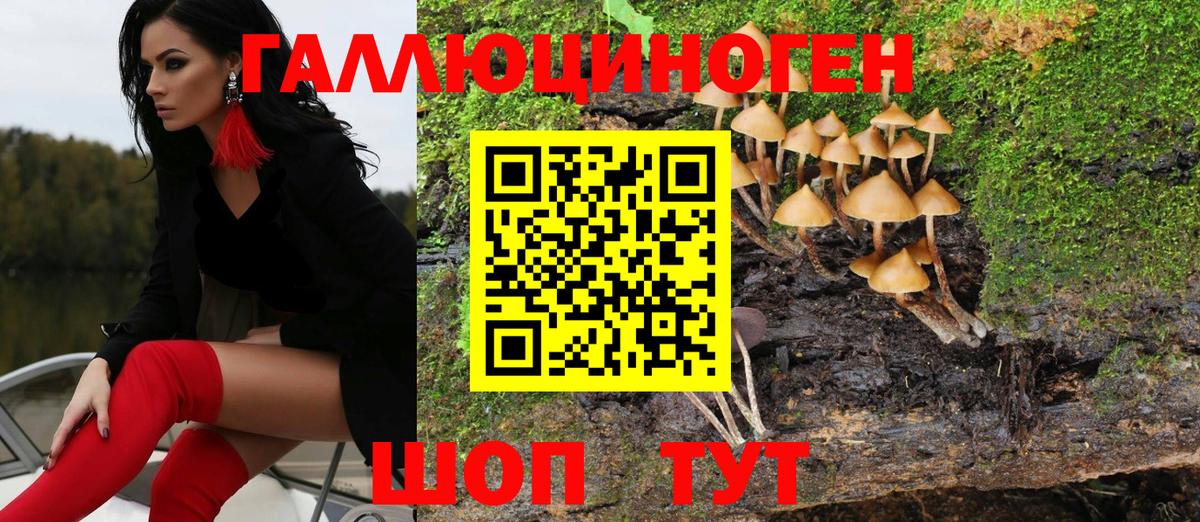 Галлюциногенные грибы MAGIC MUSHROOMS Родники