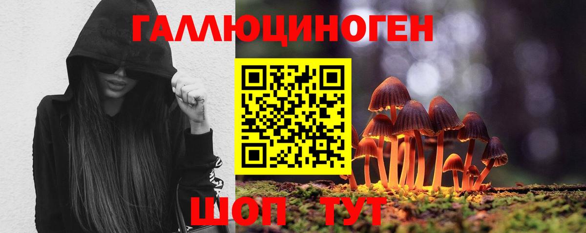 Родники  Галлюциногенные грибы Cubensis  Вход с VPN 